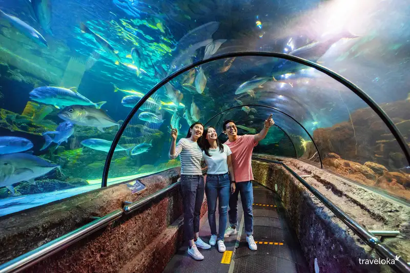 Destinasi Wisata Aquarium