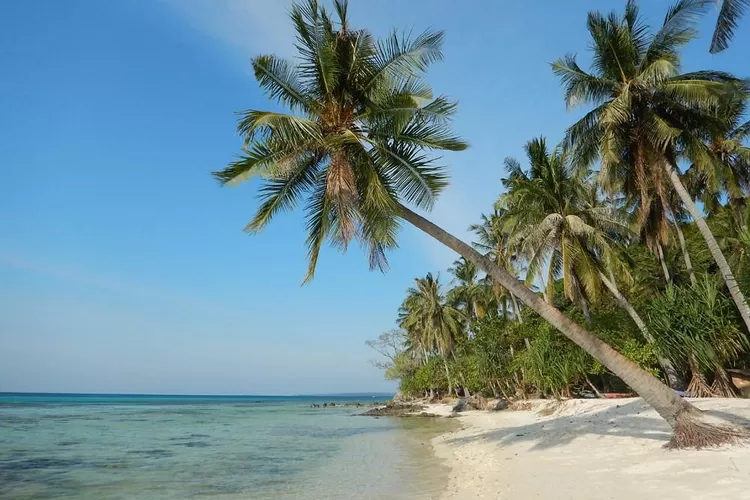Destinasi Wisata Di Karimunjawa