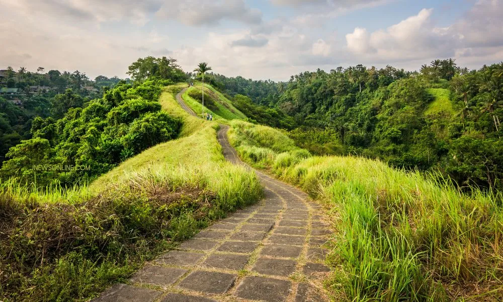 Beberapa Wisata Bukit Terindah