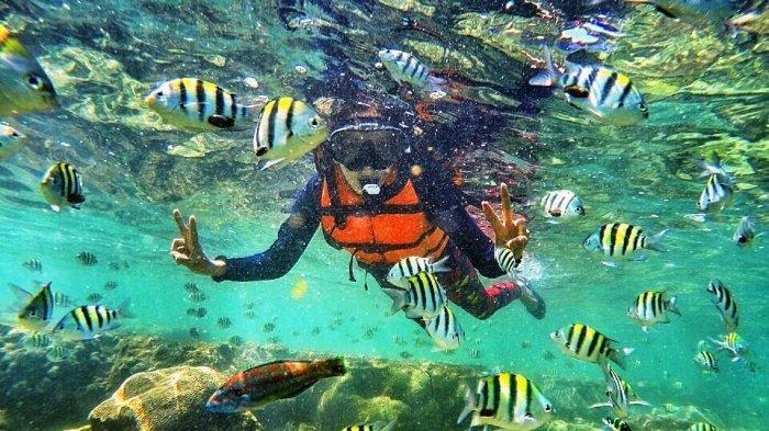 Daftar Spot Snorkeling Indonesia Terbaik 2025
