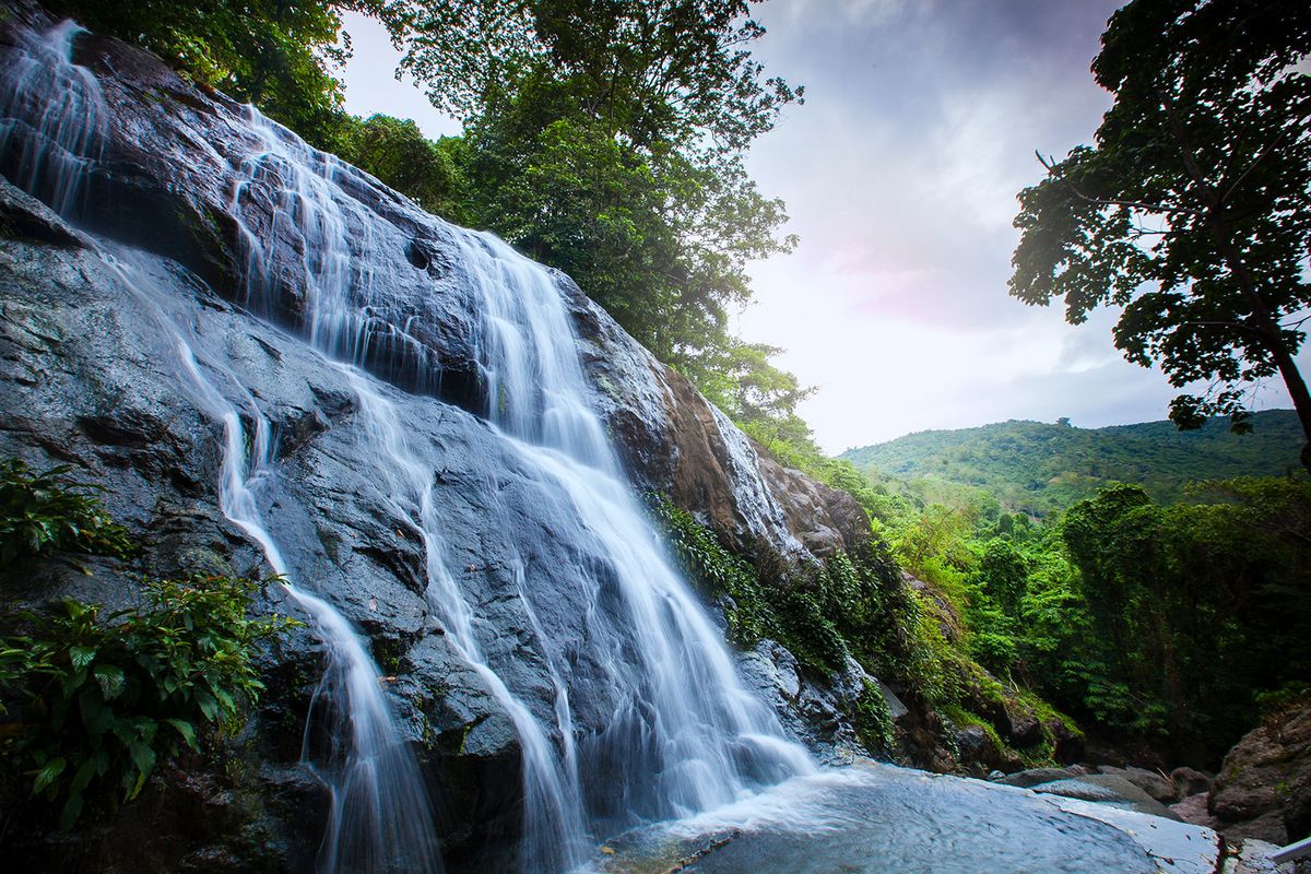 Rekomendasi Wisata Kebun Binatang Terbaik Kalimantan